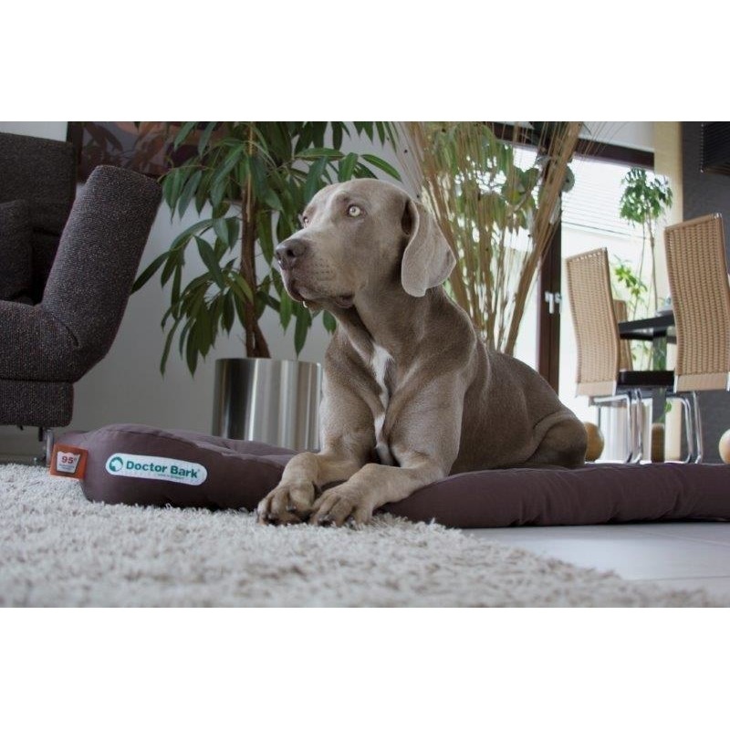 Doctor Bark Hundekissen Bild 13