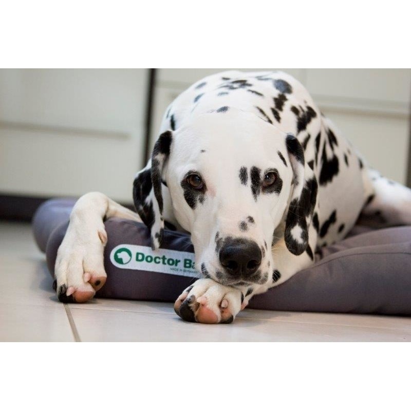 Doctor Bark Hundekissen Bild 18