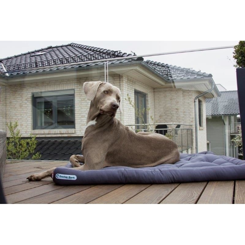 Doctor Bark Hundekissen Bild 20