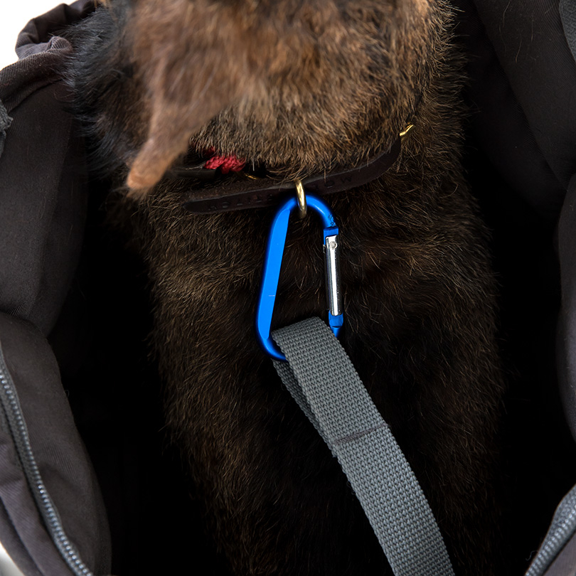 Doctor Bark Hundetragetasche Bild 3