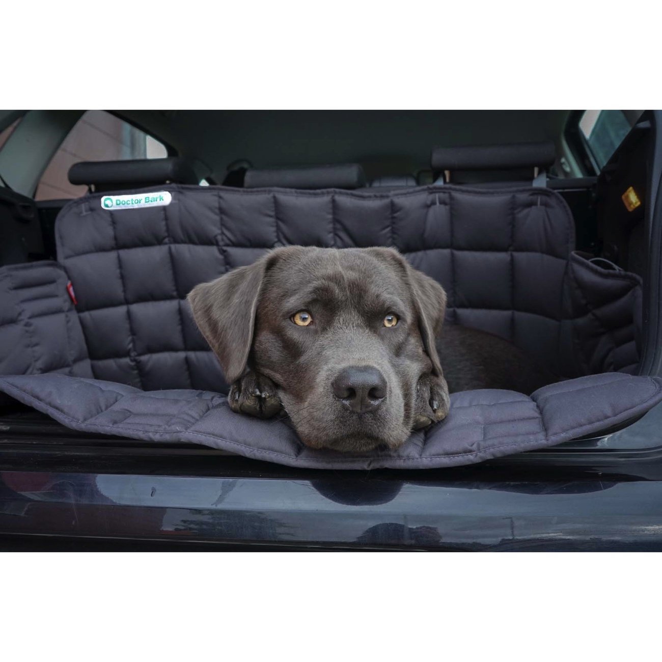 Doctor Bark Kofferraumdecke für Hunde Bild 3
