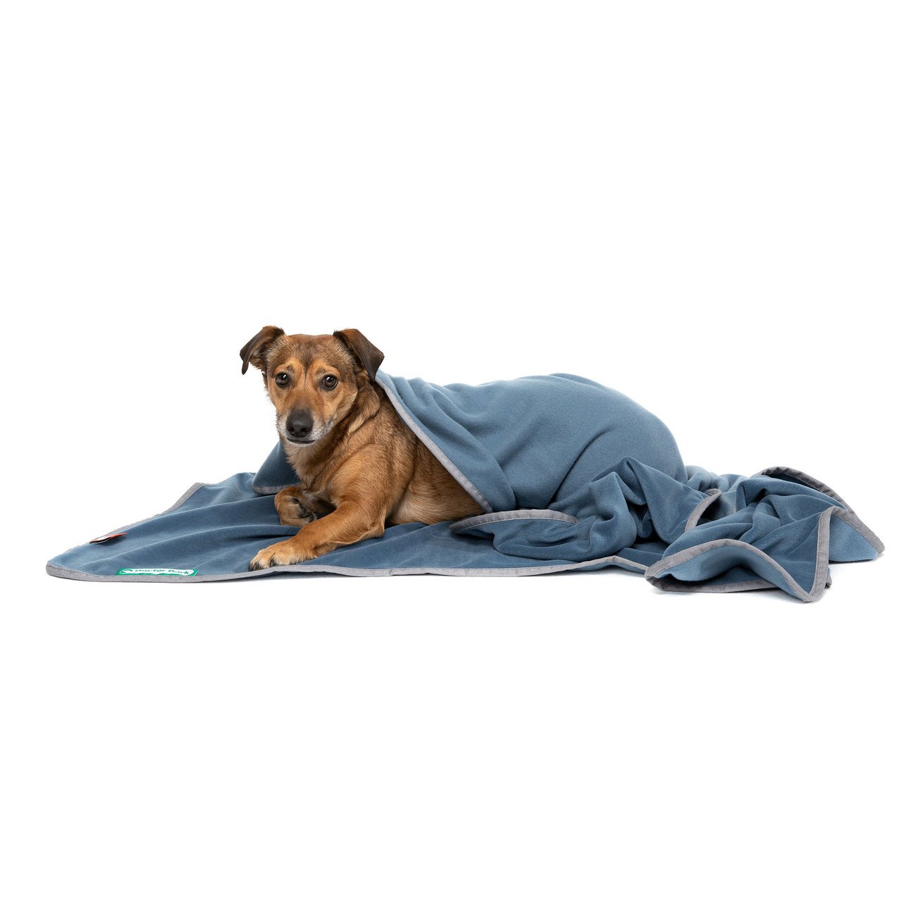 Doctor Bark Kuscheldecke Fleece für Hunde Bild 12