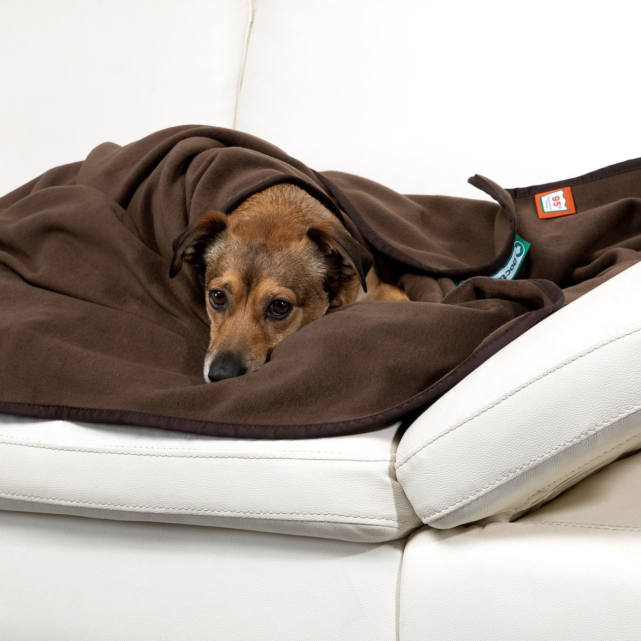 Doctor Bark Kuscheldecke Fleece für Hunde Bild 17