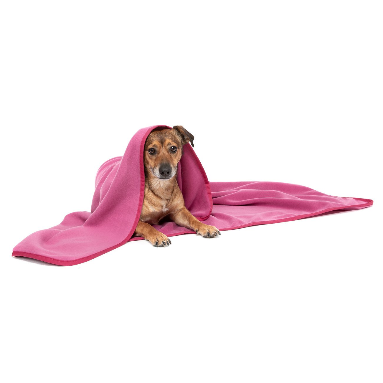 Doctor Bark Kuscheldecke Fleece für Hunde Bild 46