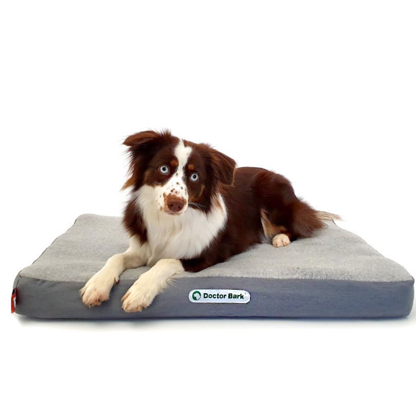 Doctor Bark orthopädische Hundematratze Bild 2