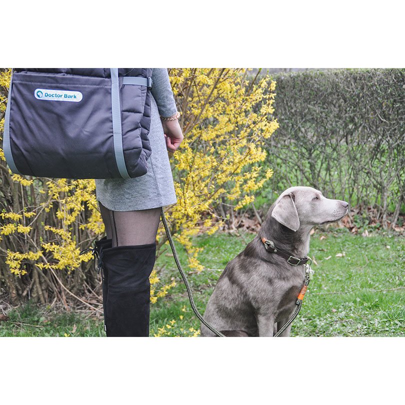 Doctor Bark Reisedecke, TravelBag Bild 2