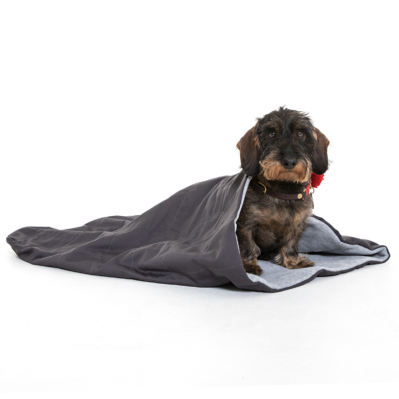 Doctor Bark Schlafsack für Hunde Bild 2