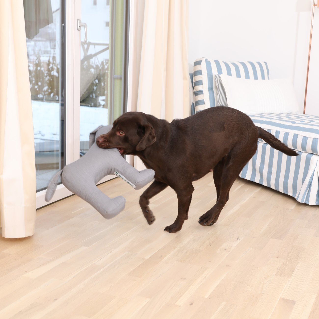 Doctor Bark Toy Dog - Hundespielzeug Bild 3