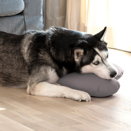 Doctor Bark Toy Heart - Hundespielzeug Bild 2