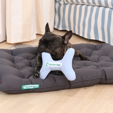 Doctor Bark Toy Bone - Hundespielzeug Bild 2