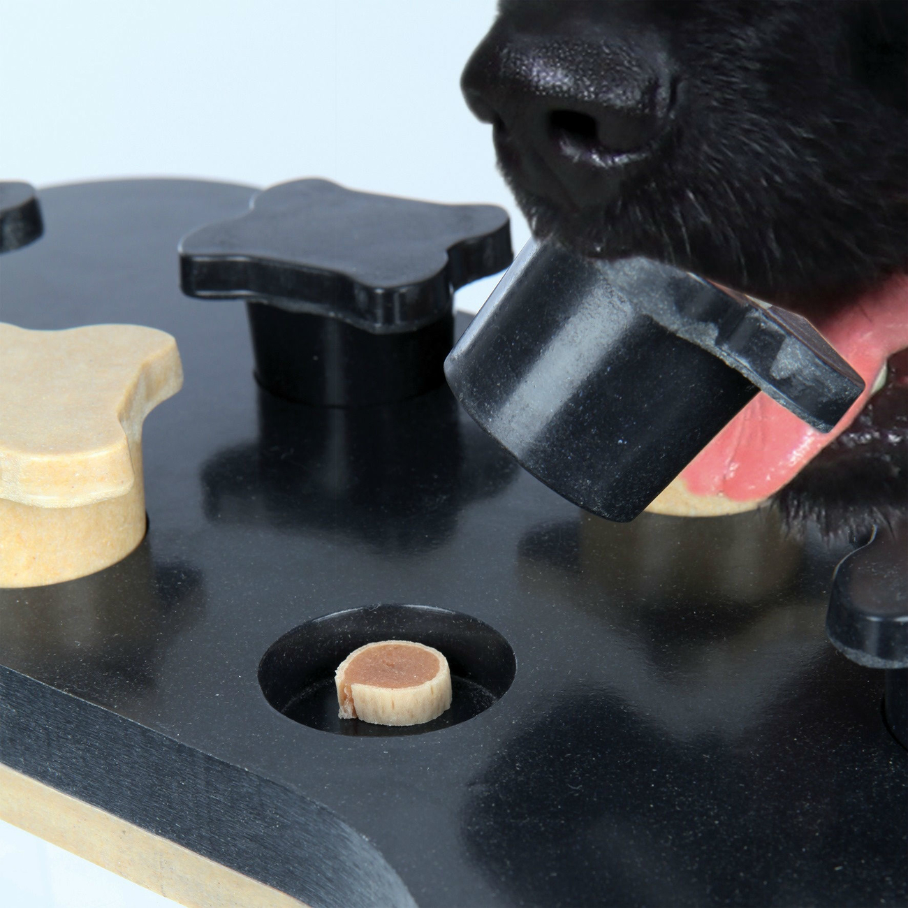 Dog Activity Game Bone Intelligenzspielzeug Hund Bild 3