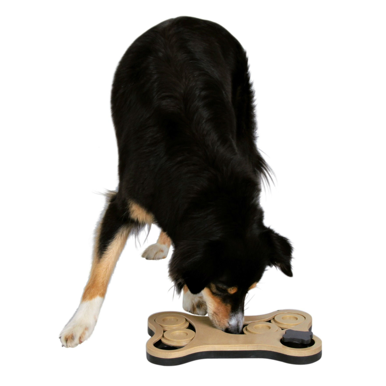Dog Activity Game Bone Intelligenzspielzeug Hund Bild 4