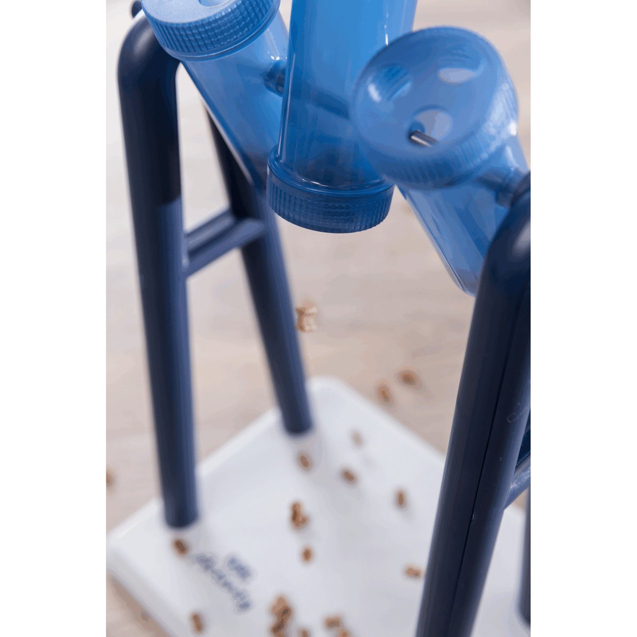 Dog Activity Strategiespiel Turn Around für Hunde Bild 3