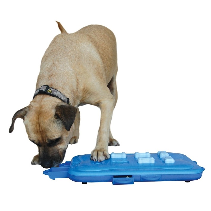 Dog Casino Hundespielzeug Plastik Bild 7