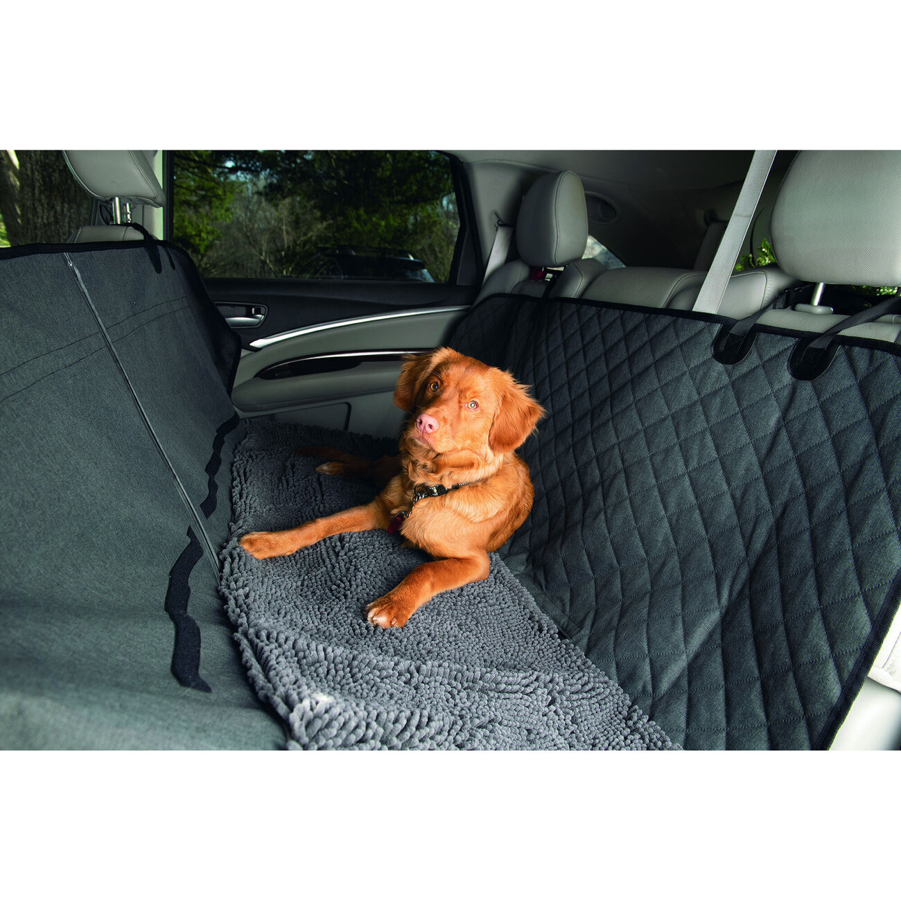 Dirty Dog Autodecke Bild 8