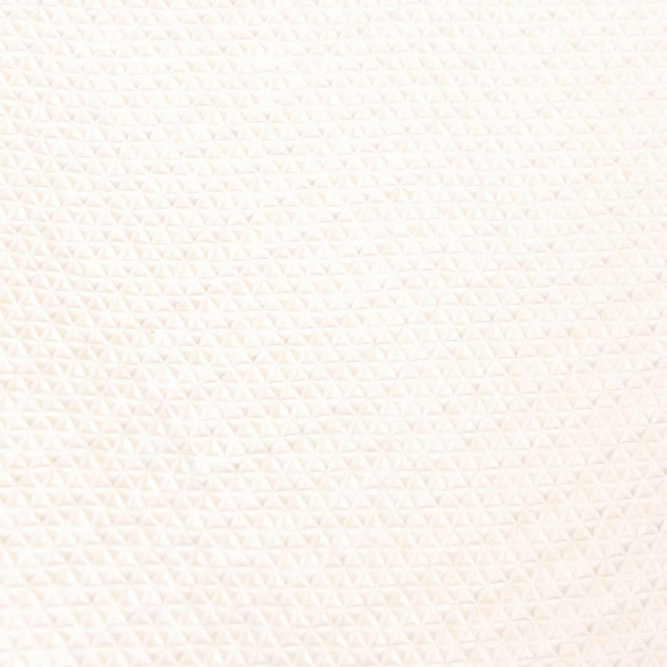 Dirty Dog Doormat Schmutzfangmatte Bild 8