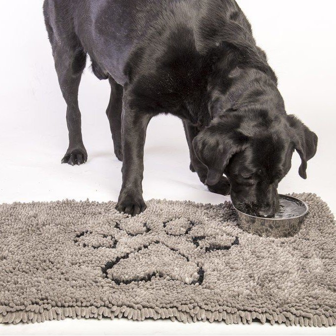 Dirty Dog Doormat Schmutzfangmatte Bild 2