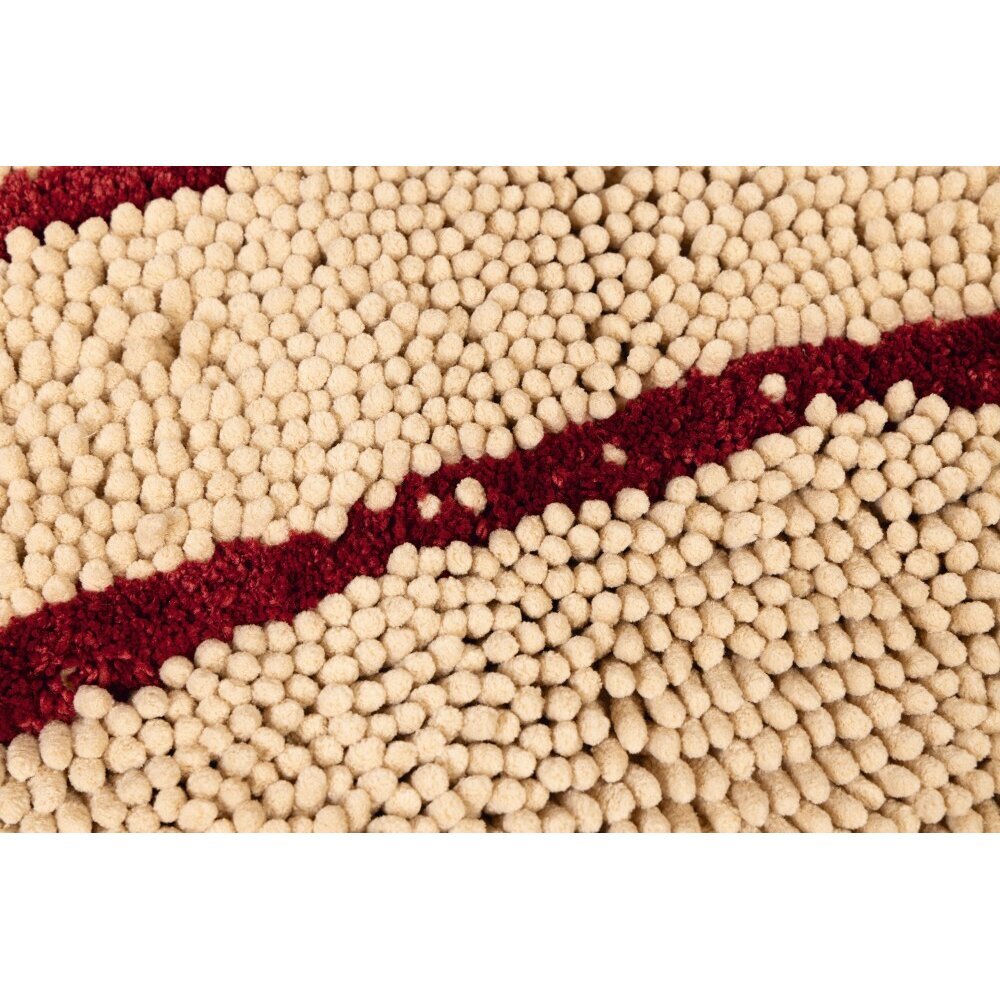 Dirty Dog Doormat Schmutzfangmatte Bild 13