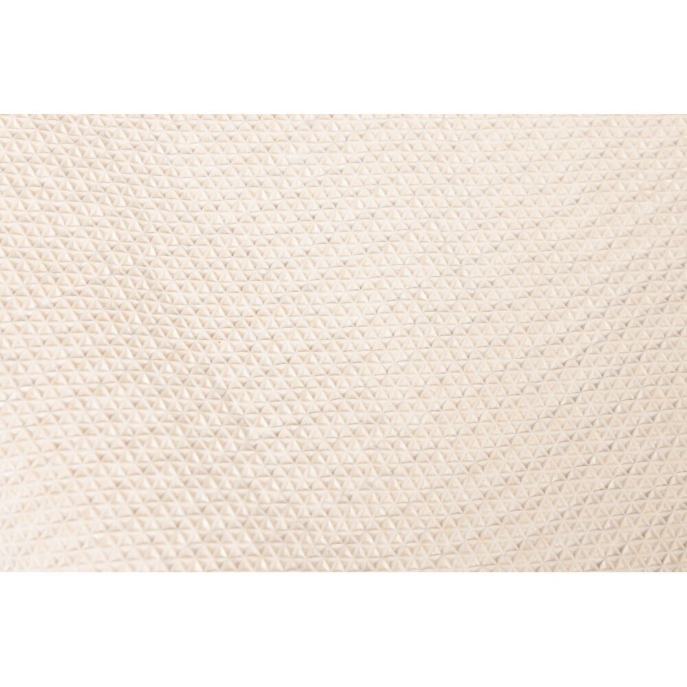 Dirty Dog Doormat Schmutzfangmatte Bild 14