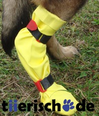 DogGusti Hunde-Gummistiefel Bild 5