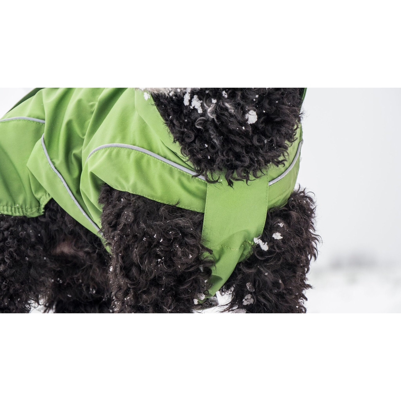 DogBite Hunde Ganzjahres Regenjacke Matt Bild 4
