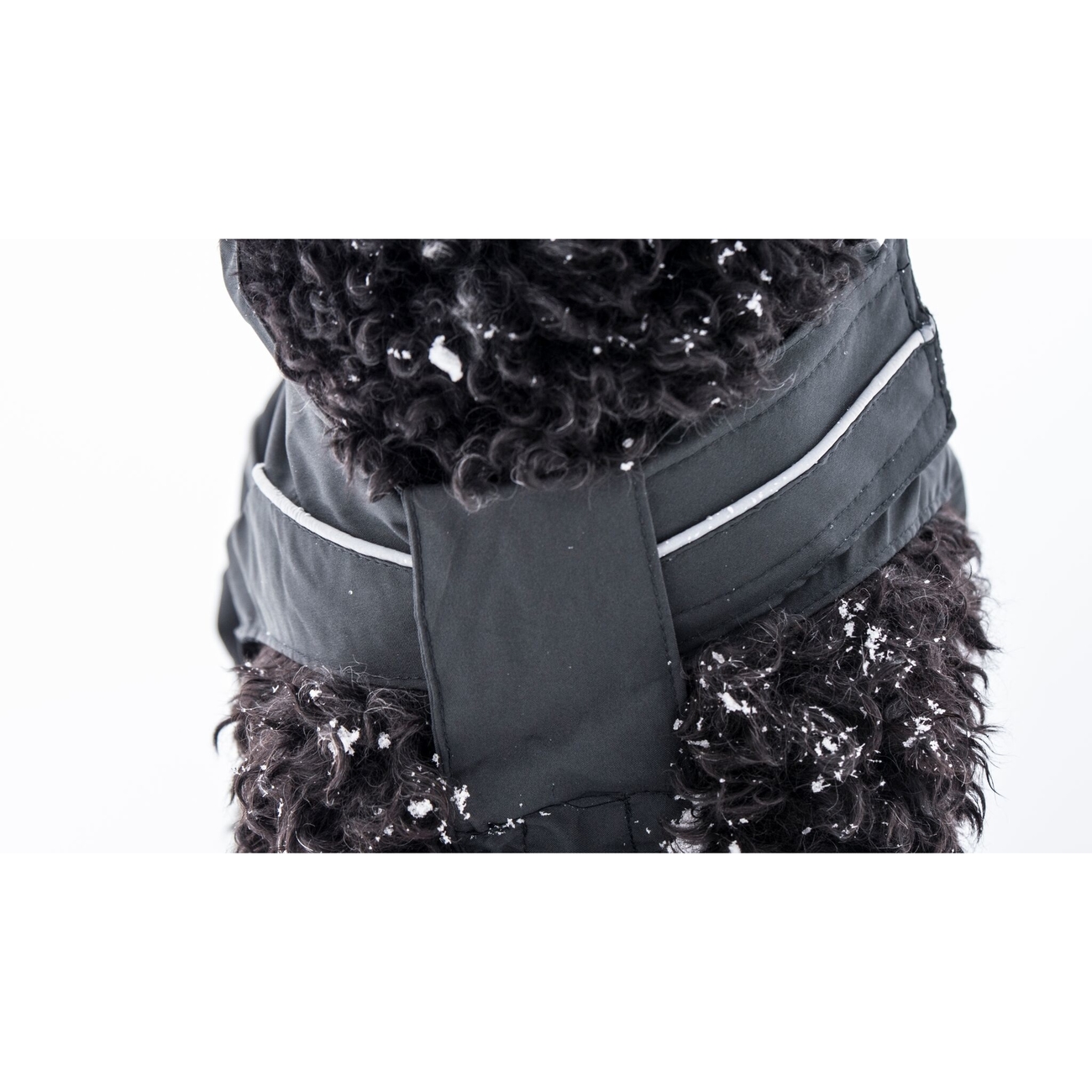 DogBite Hunde Ganzjahres Regenjacke Matt Bild 8
