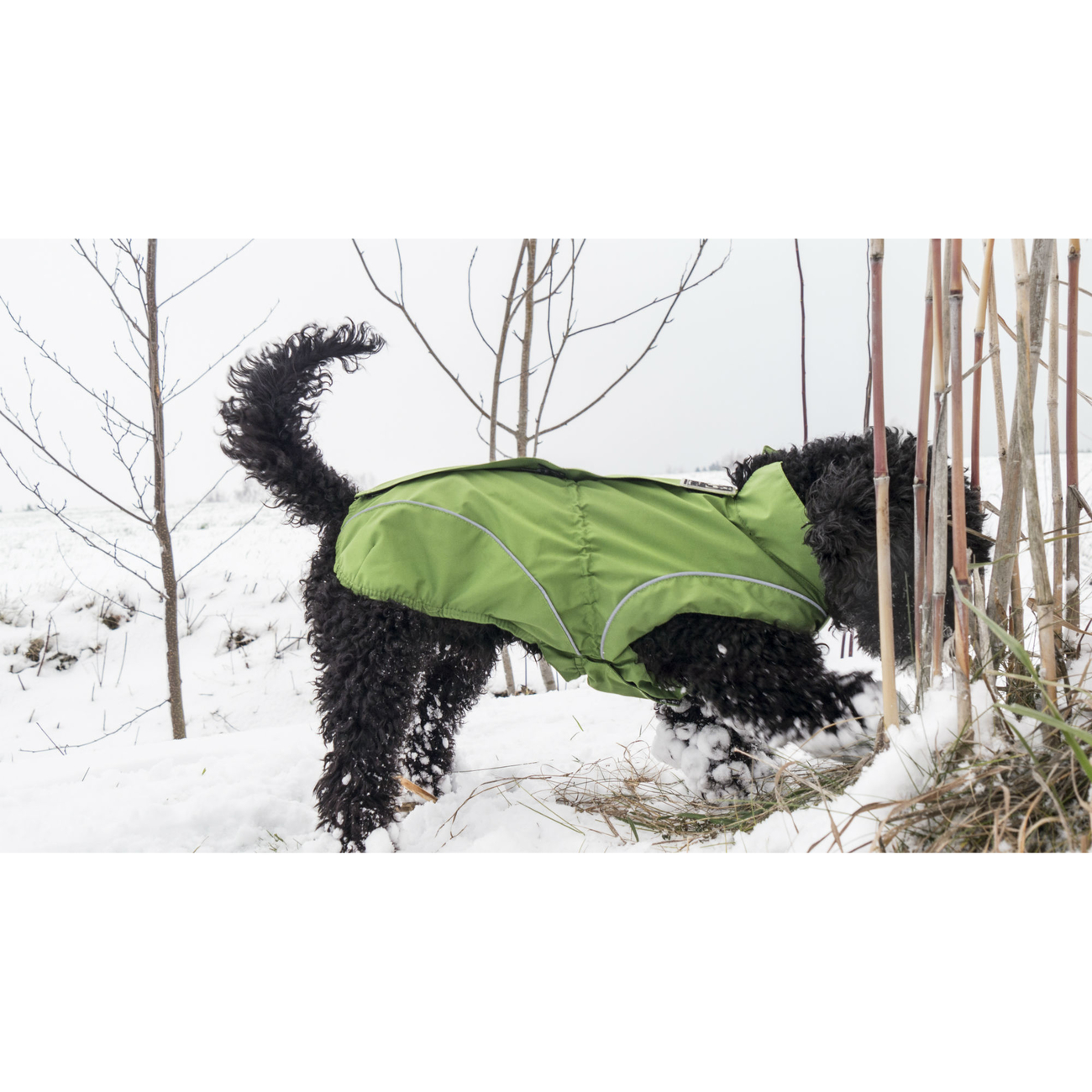 DogBite Hunde Ganzjahres Regenjacke Matt Bild 11
