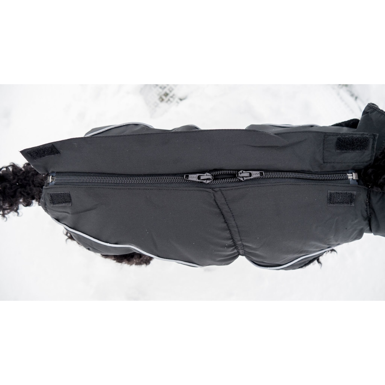 DogBite Hunde Winterjacke Matt Bild 10