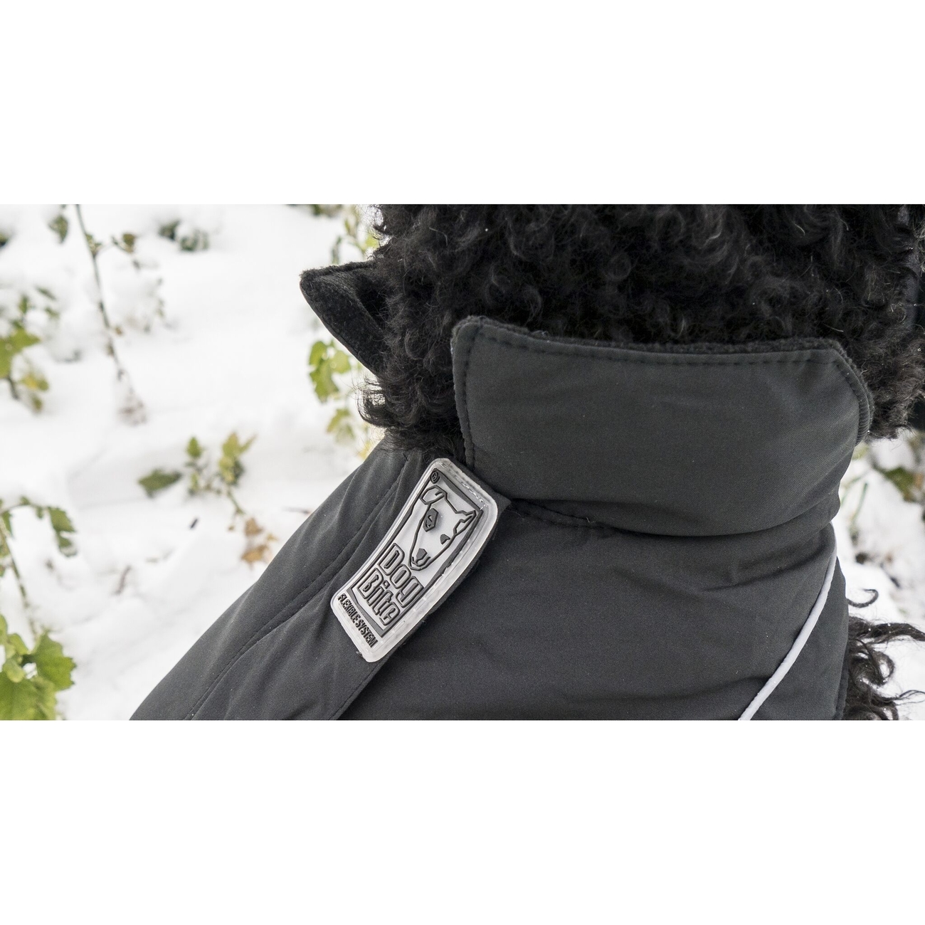 DogBite Hunde Winterjacke Matt Bild 11