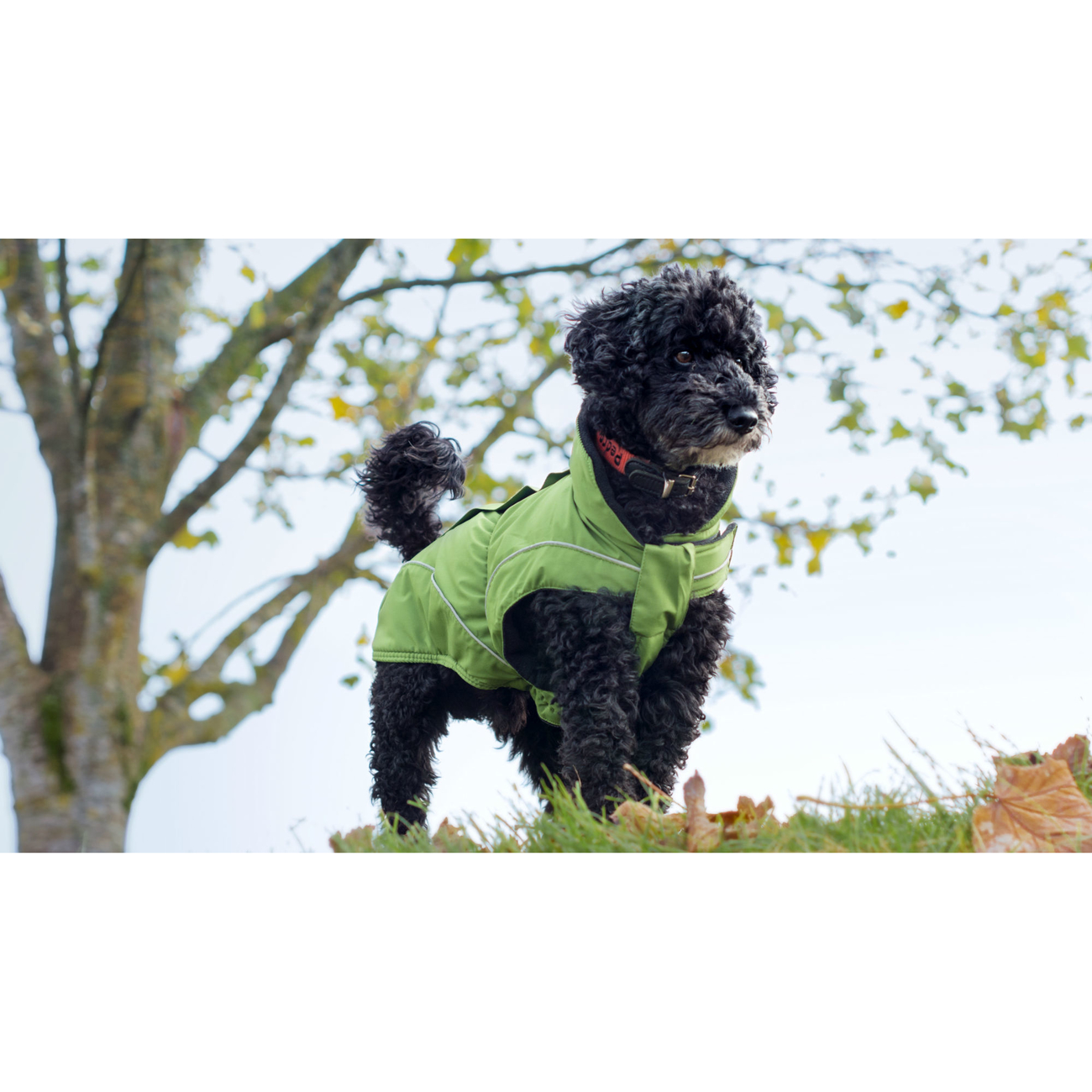 DogBite Hunde Winterjacke Matt Bild 3