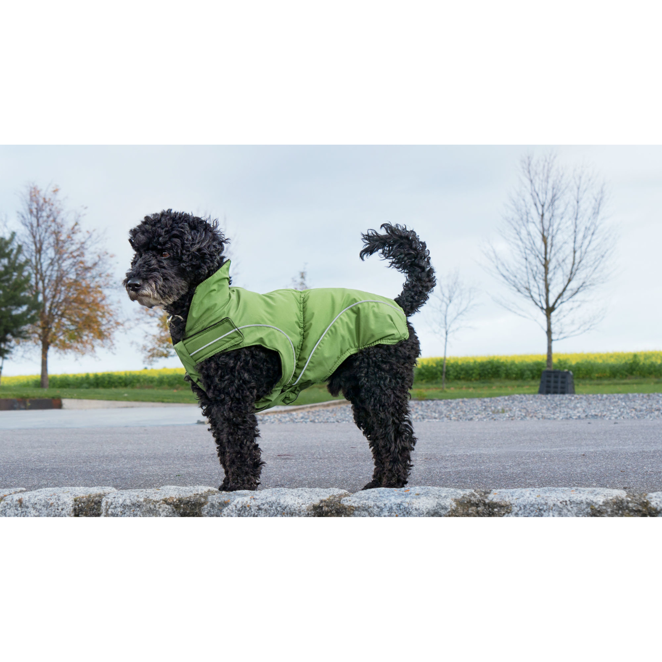 DogBite Hunde Winterjacke Matt Bild 2