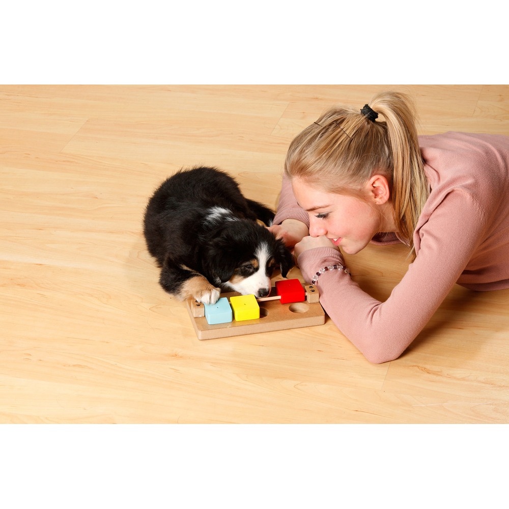 Doggy Brain Train Rocky Bild 3