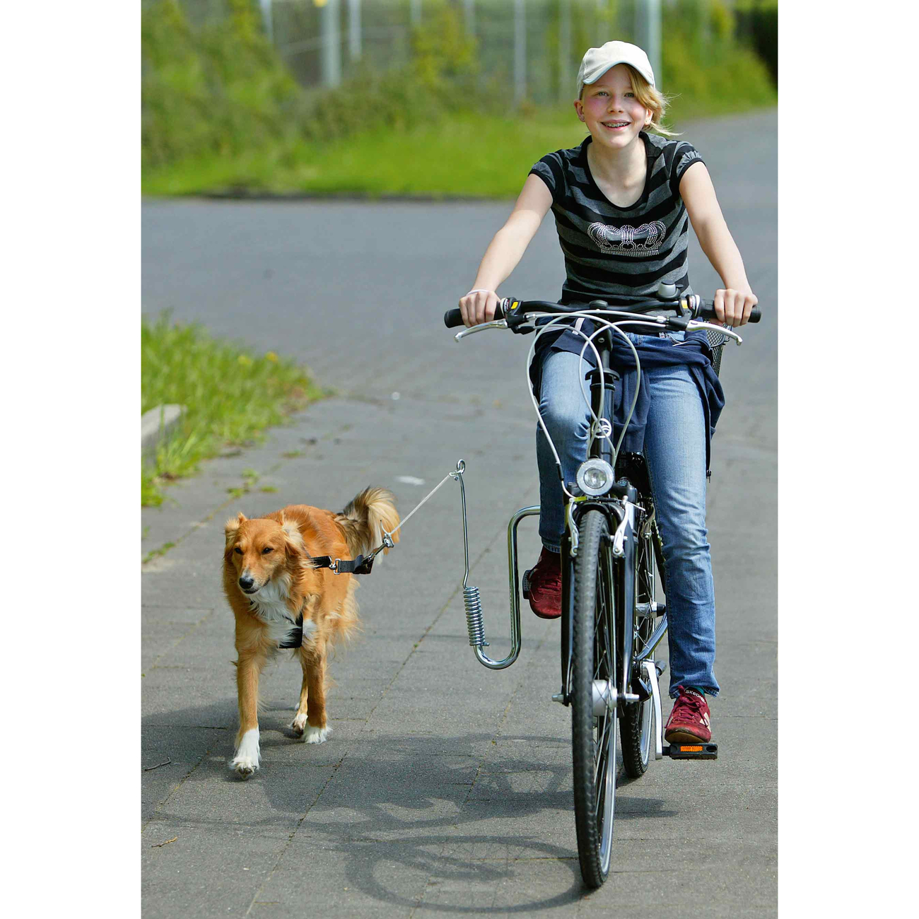 Doggy Guide Fahrradhalter Hund Bild 2