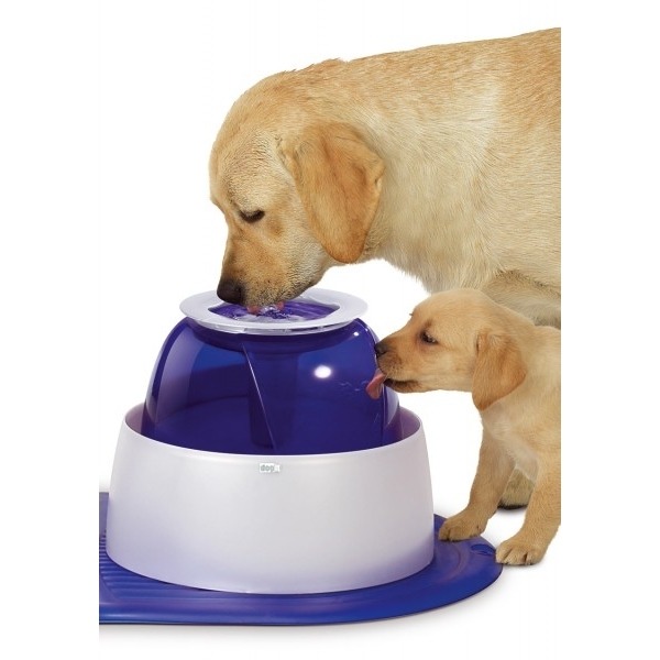 Dogit großer Trinkbrunnen für Hunde 10,5 Liter Bild 2