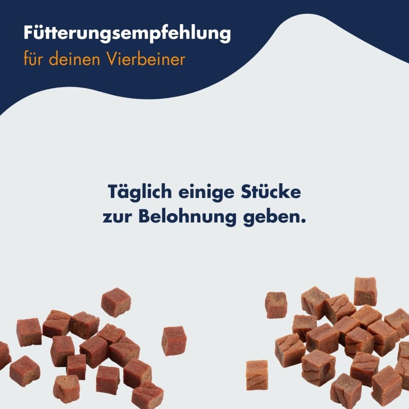 Trainer Snack BigBox Bild 13