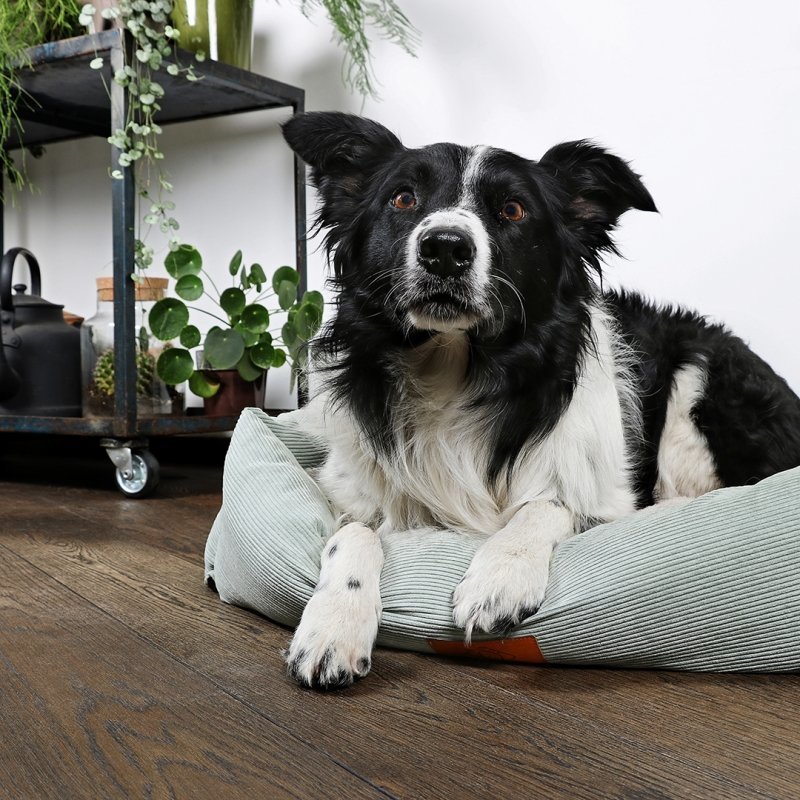 Hundebett Bas Corduroy Bild 2