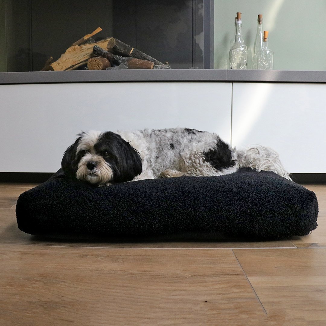 Hundekissen Polly Bild 2