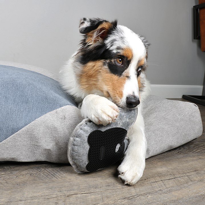 Bodenspielzeug für Hunde Bild 2