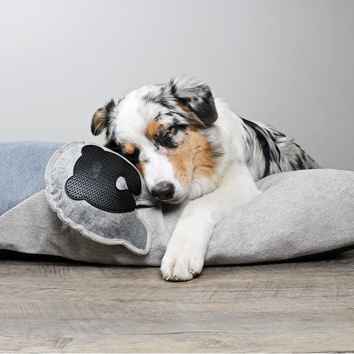 Bodenspielzeug für Hunde Bild 6