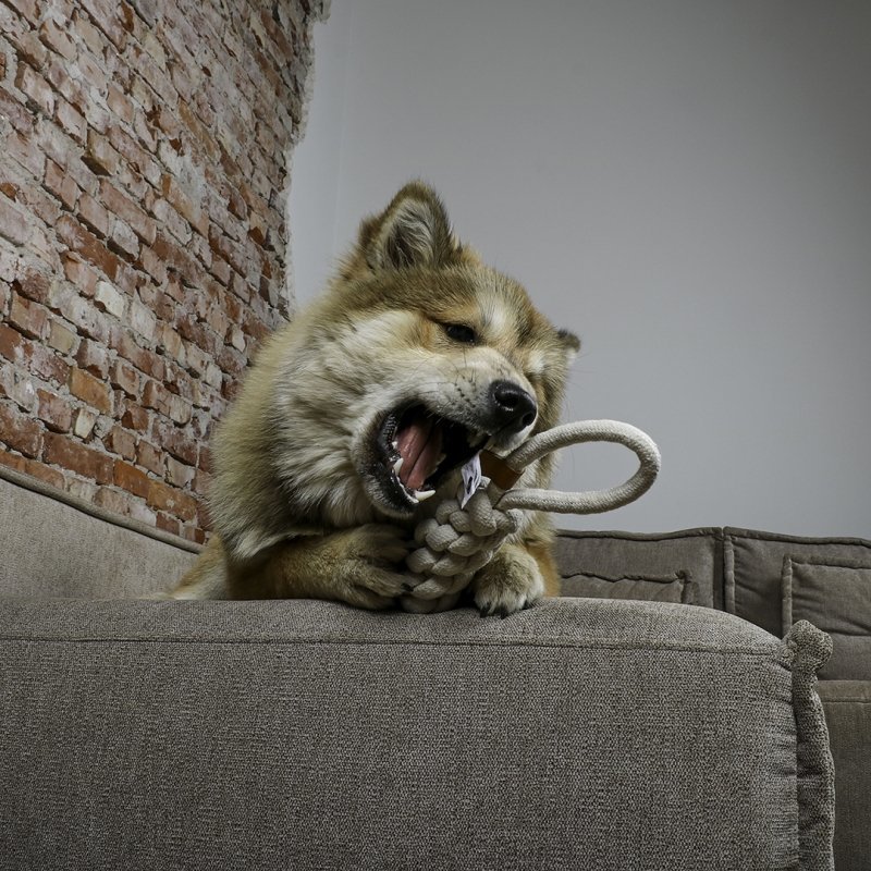 Hundespielzeug geflochtener Kegel Kurt Bild 4