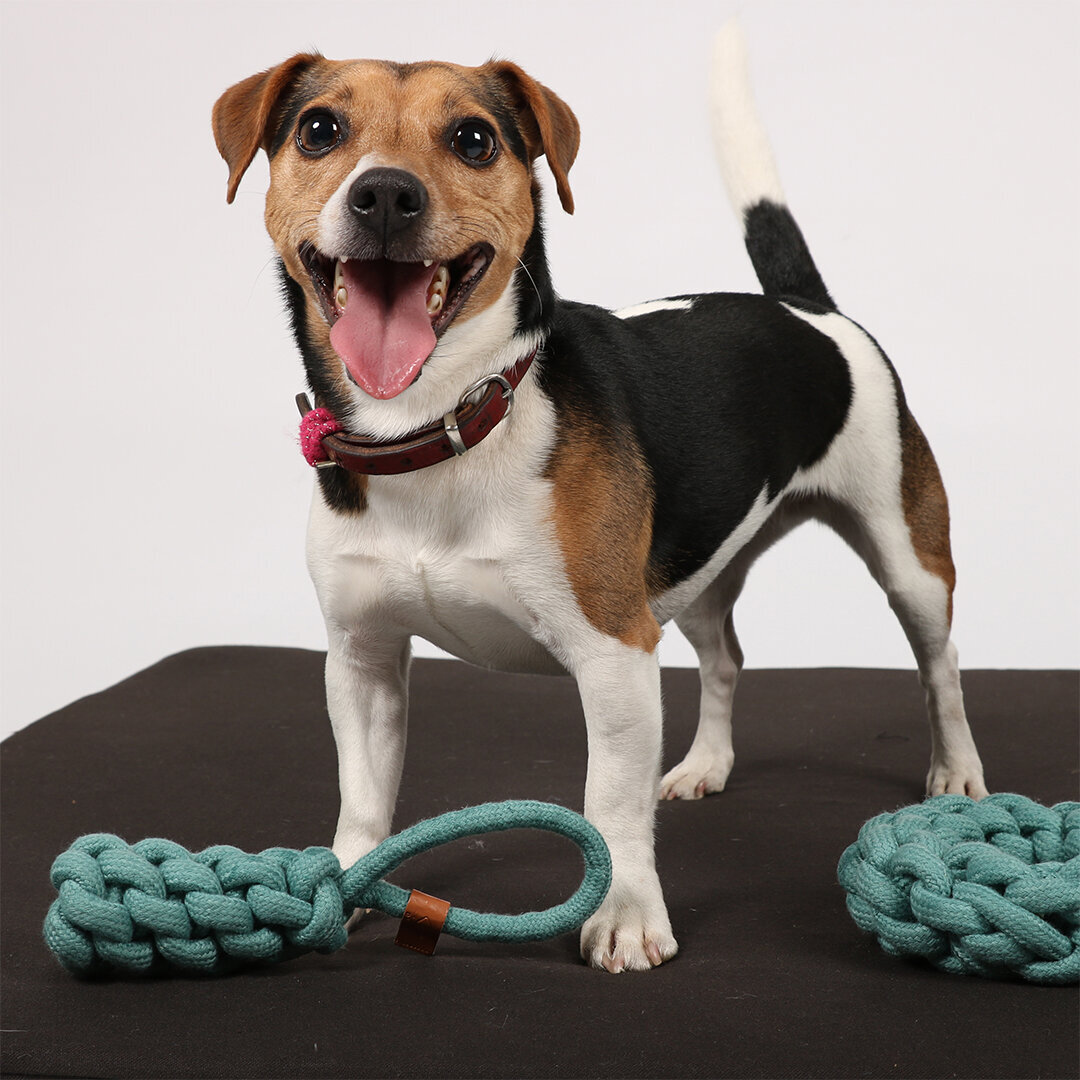 Hundespielzeug geflochtener Kegel Kurt Bild 2