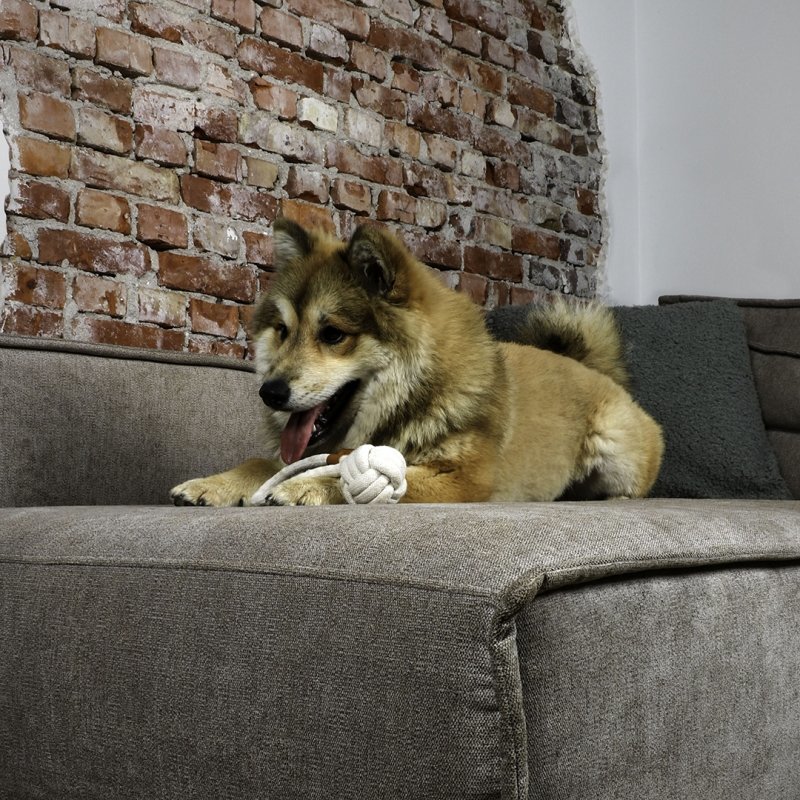 Knotenball mit Griff Harper Bild 2