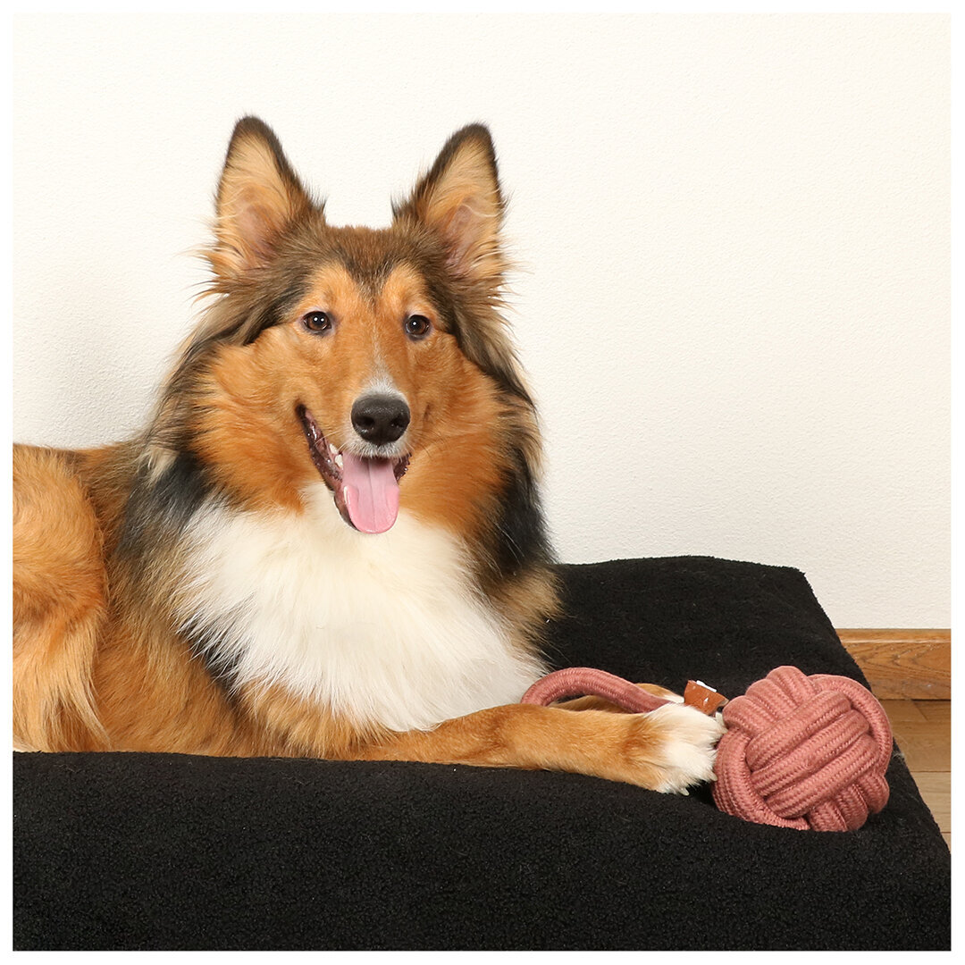 Knotenball mit Griff Harper Bild 9