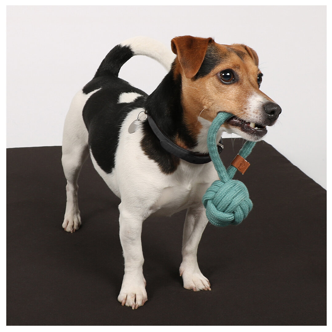 Knotenball mit Griff Harper Bild 14