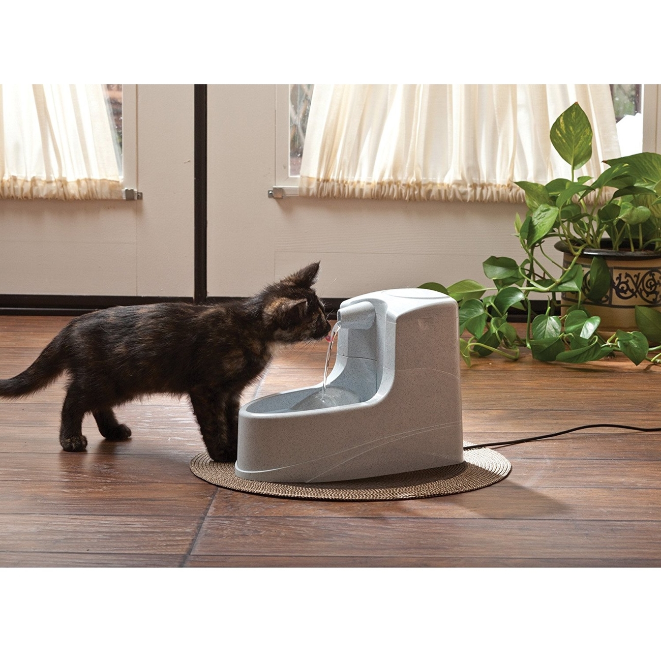 Drinkwell Mini Trinkbrunnen für Hunde und Katzen Bild 2
