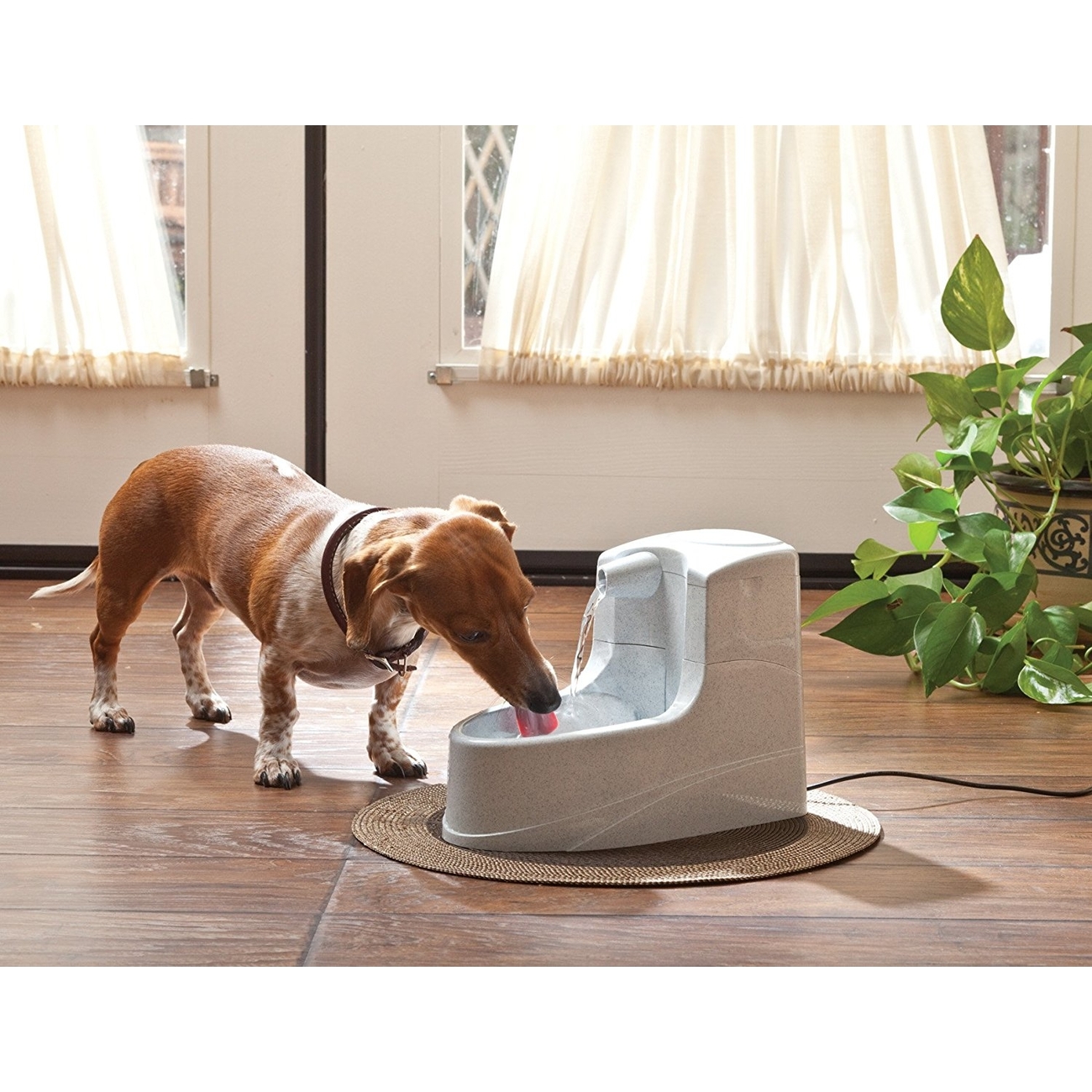 Drinkwell Mini Trinkbrunnen für Hunde und Katzen Bild 3