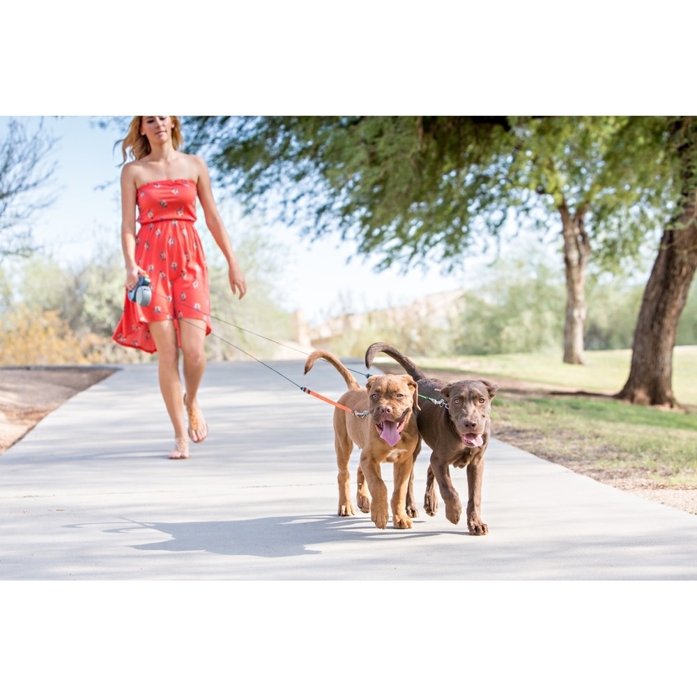 Dual Doggie Doppel Roll-Leine für 2 Hunde Bild 2