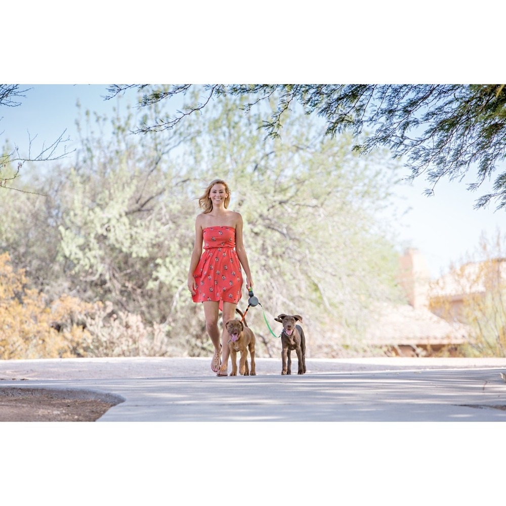 Dual Doggie Doppel Roll-Leine für 2 Hunde Bild 3