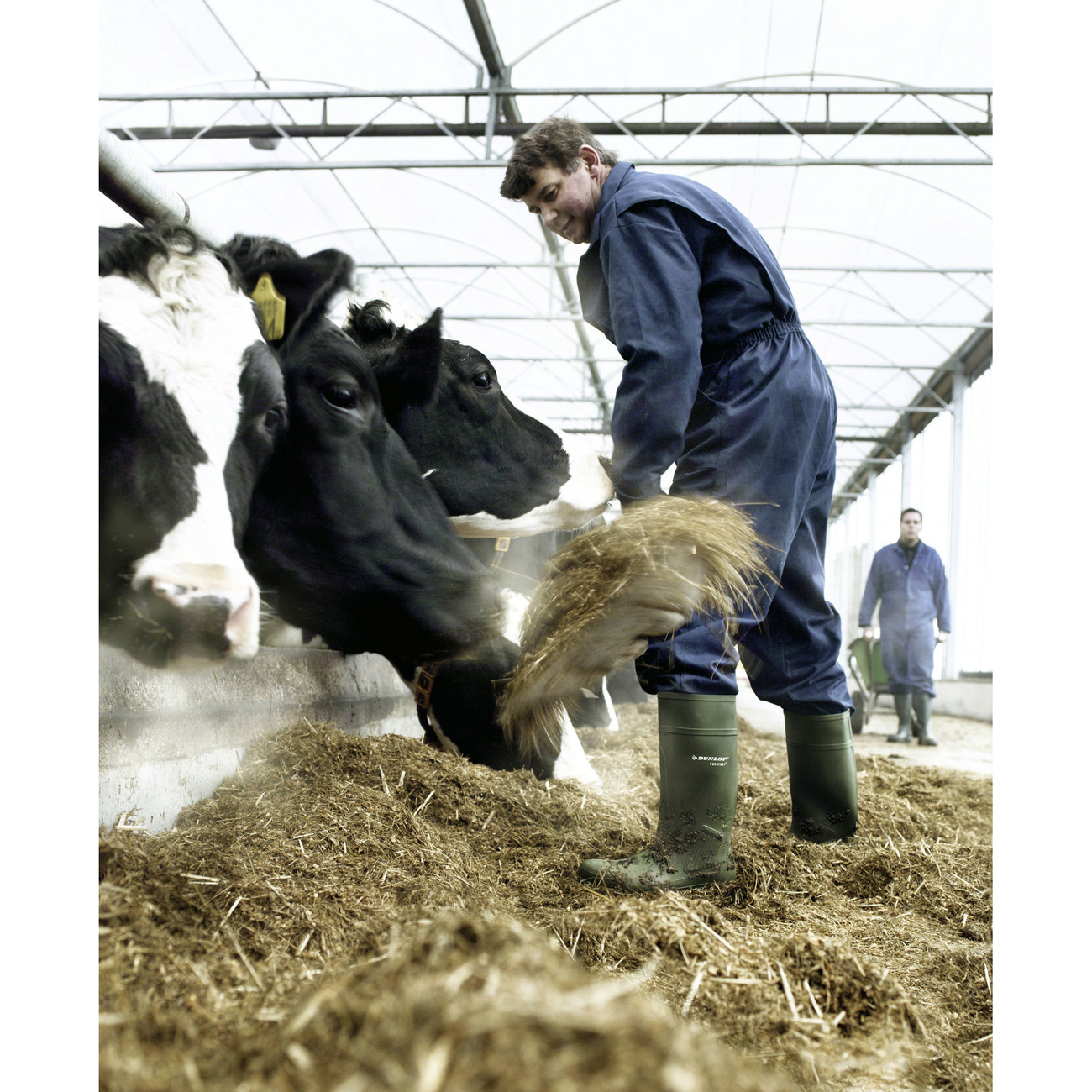 Dunlop Purofort Professional Sicherhheitsstiefel Bild 4