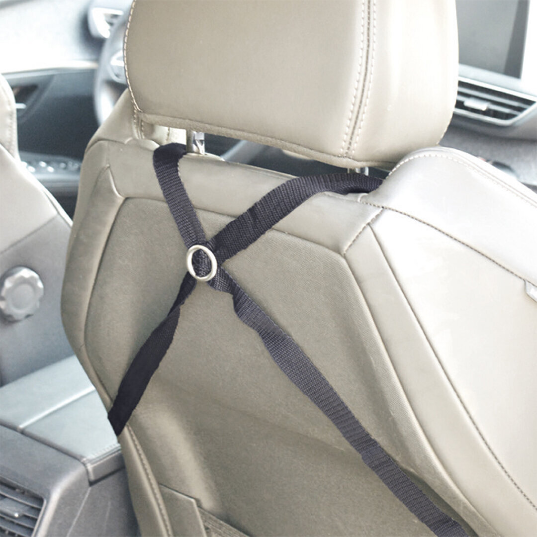 Autositz, Autokorb für Hunde Isofix Bild 5